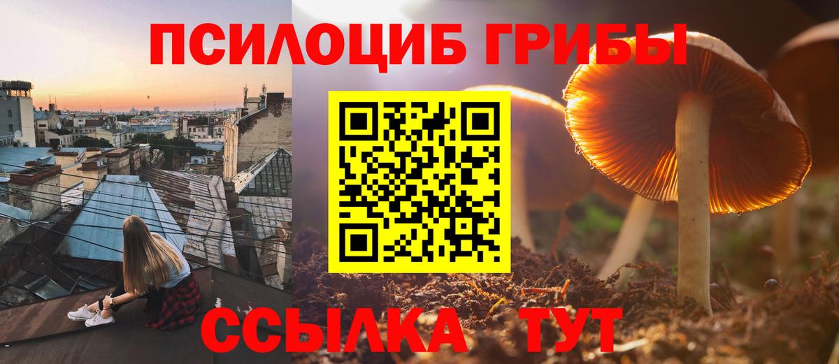 Псилоцибиновые грибы прущие грибы Бирск