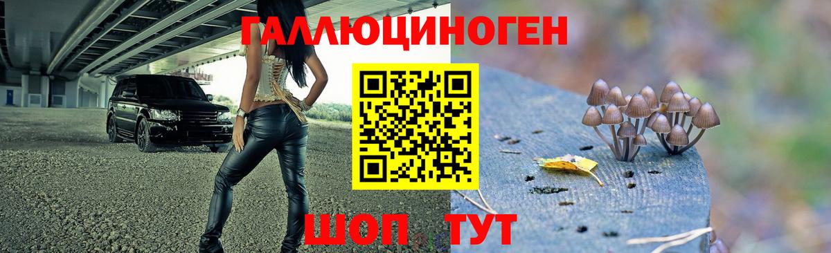 Бирск  хочу наркоту  Вход с VPN  Галлюциногенные грибы мухоморы 